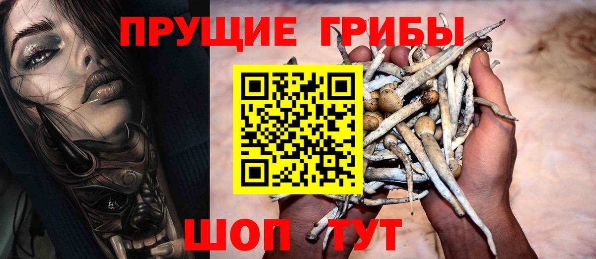 Псилоцибиновые грибы ЛСД Ессентуки