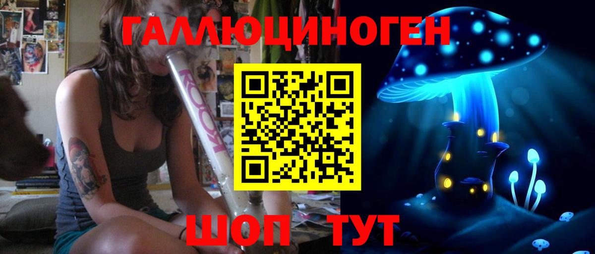 где можно купить наркотик  Галлюциногенные грибы Cubensis  Вход с VPN  Ессентуки 